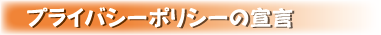 プライバシーポリシーの宣言